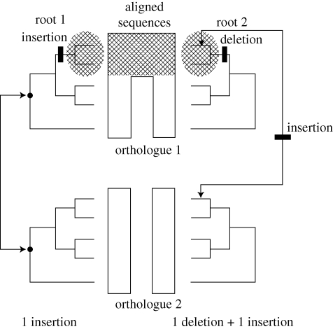 Figure 2.