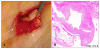 Fig. 4