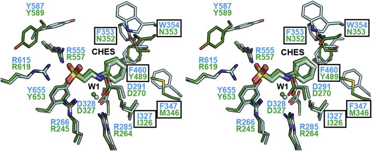 Fig. 3