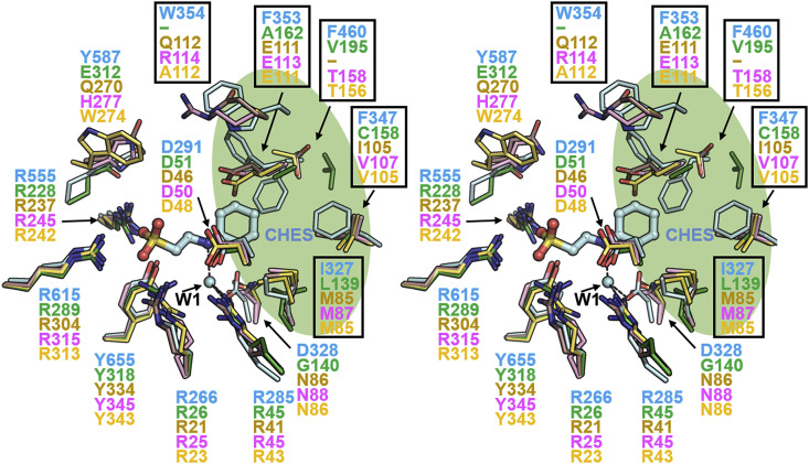 Fig. 4