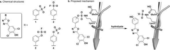 Scheme 3