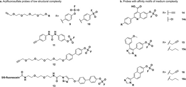 Scheme 5