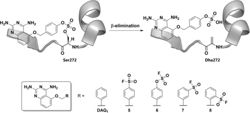 Scheme 4