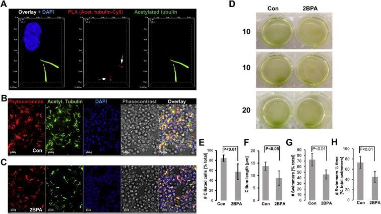 Fig. 4