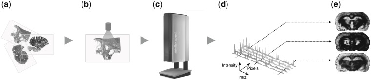 Fig. 1.