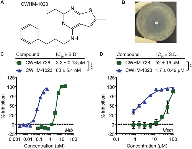 FIG 3