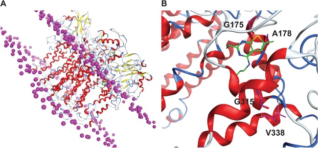 FIG 5