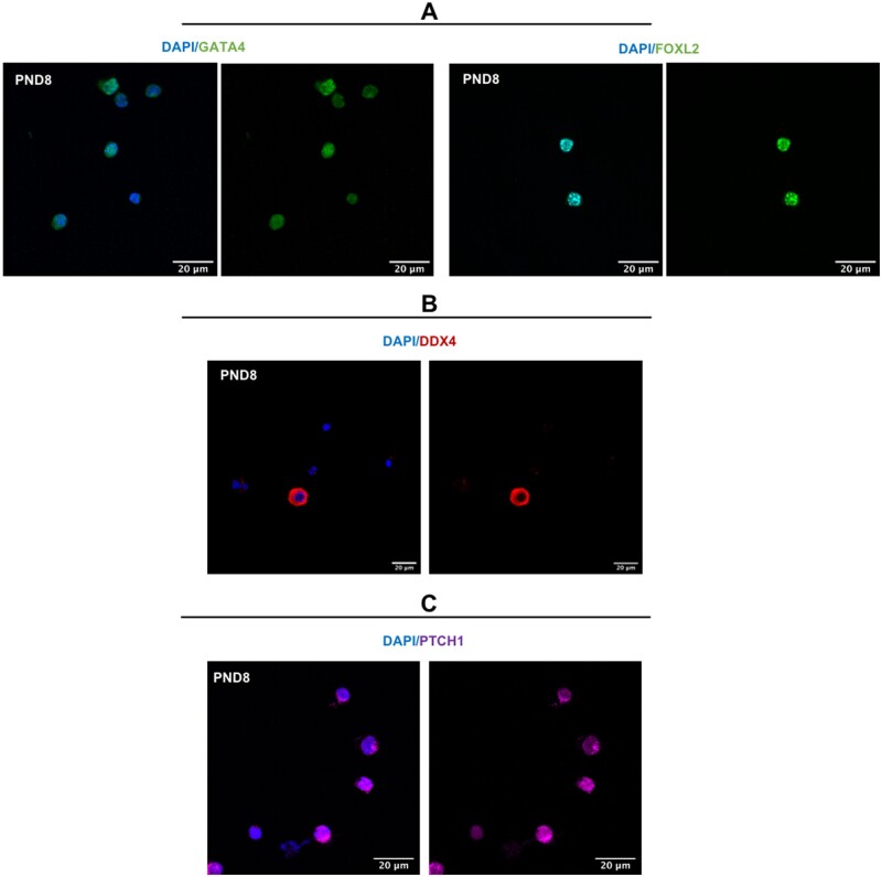 Figure 5.