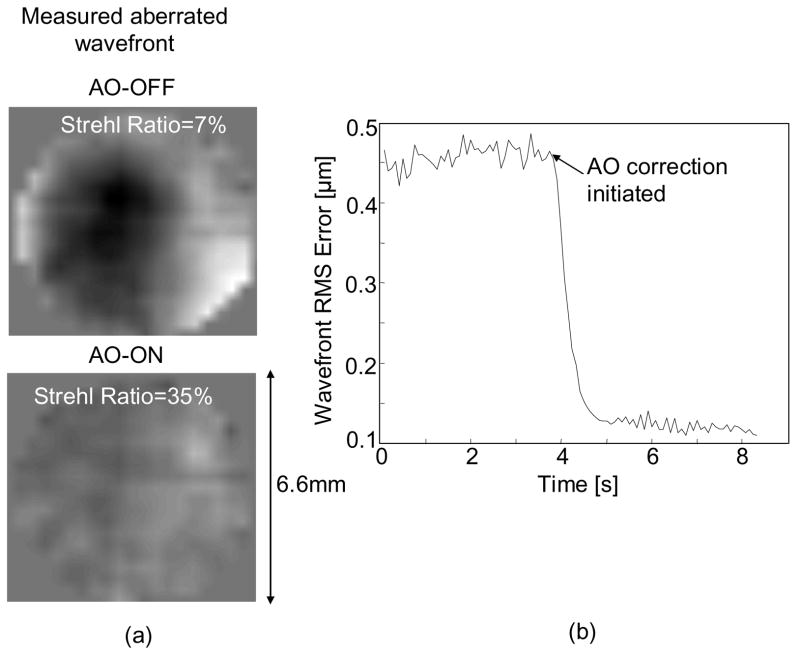 Fig. 4