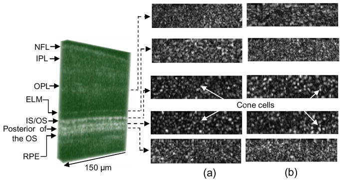 Fig. 7