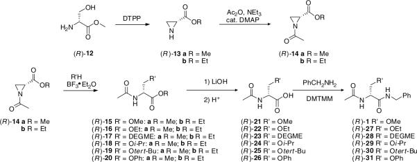 Scheme 2