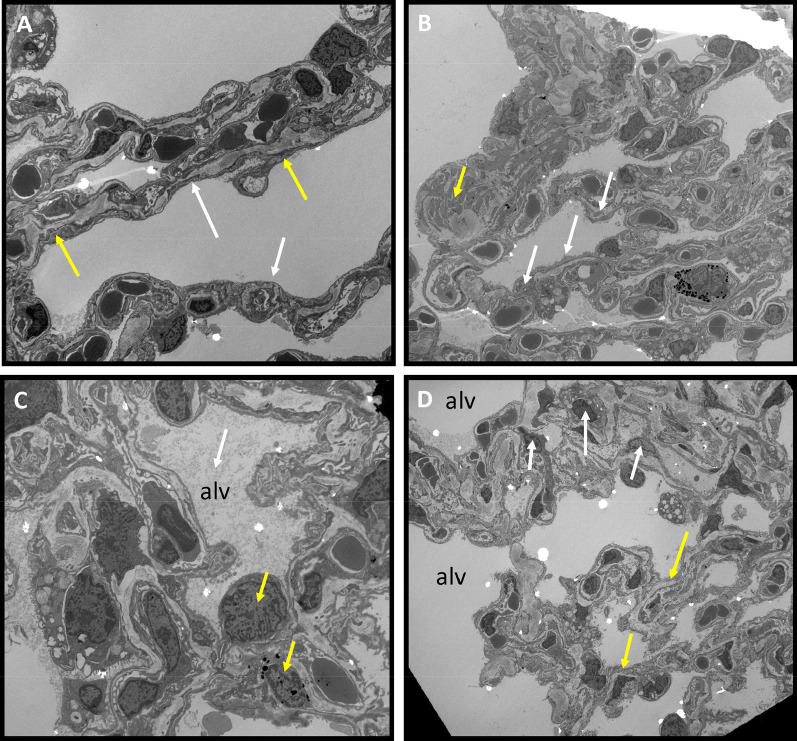 Fig. 9