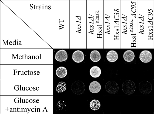 FIG. 8.