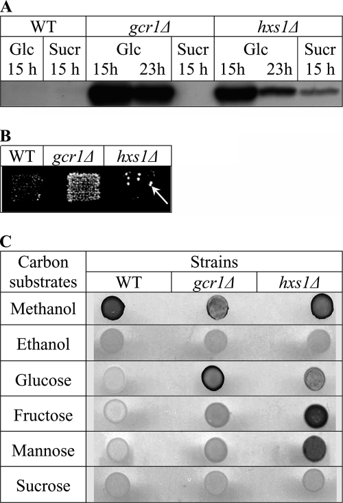 FIG. 5.