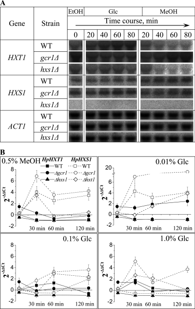 FIG. 7.