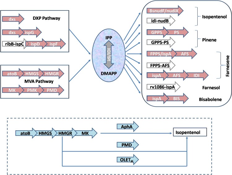 FIG 3