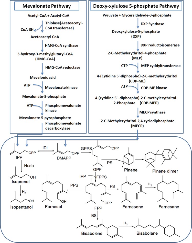 FIG 2