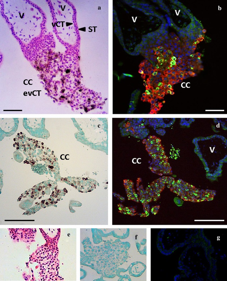 Fig. 2