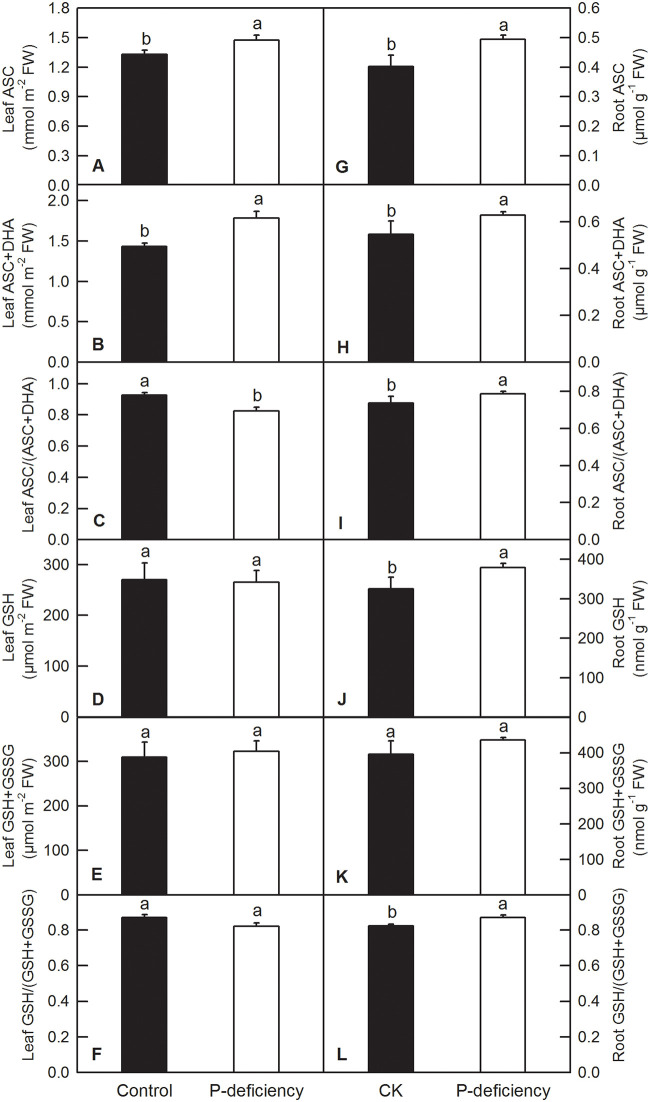 Fig 10