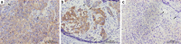 Fig. 10
