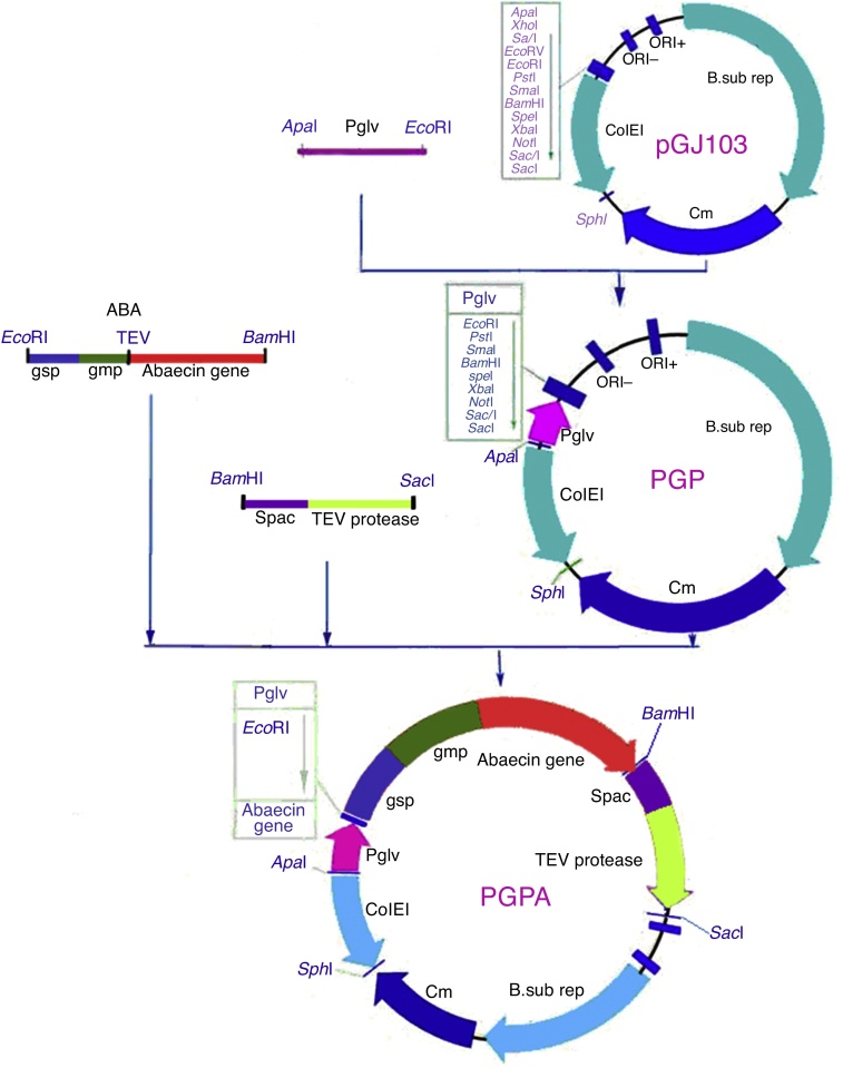 Fig. 1