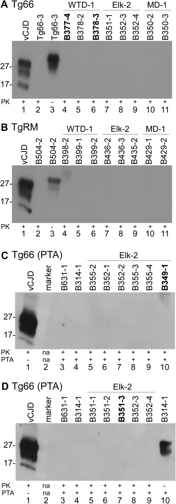 Figure 6