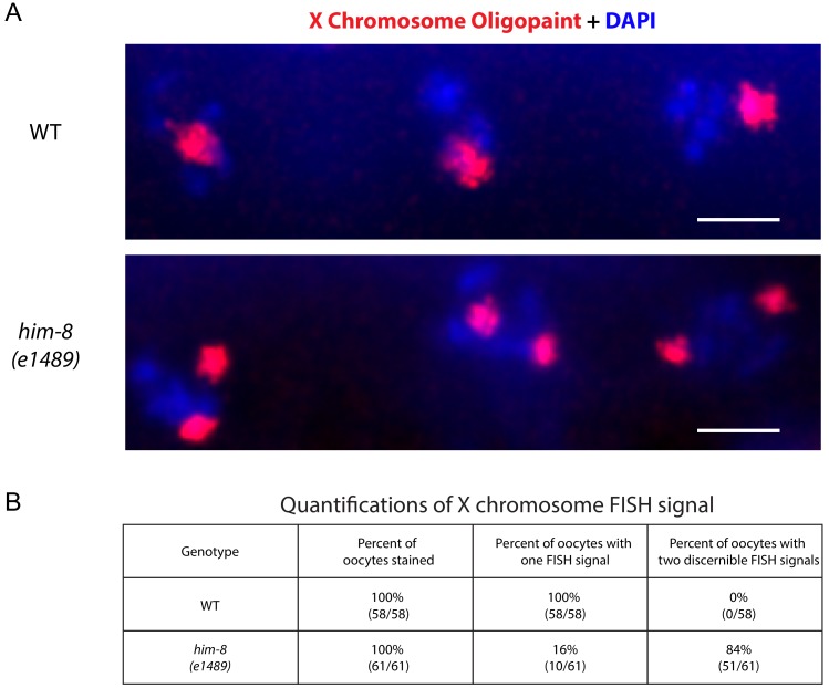 Figure 2—figure supplement 1.