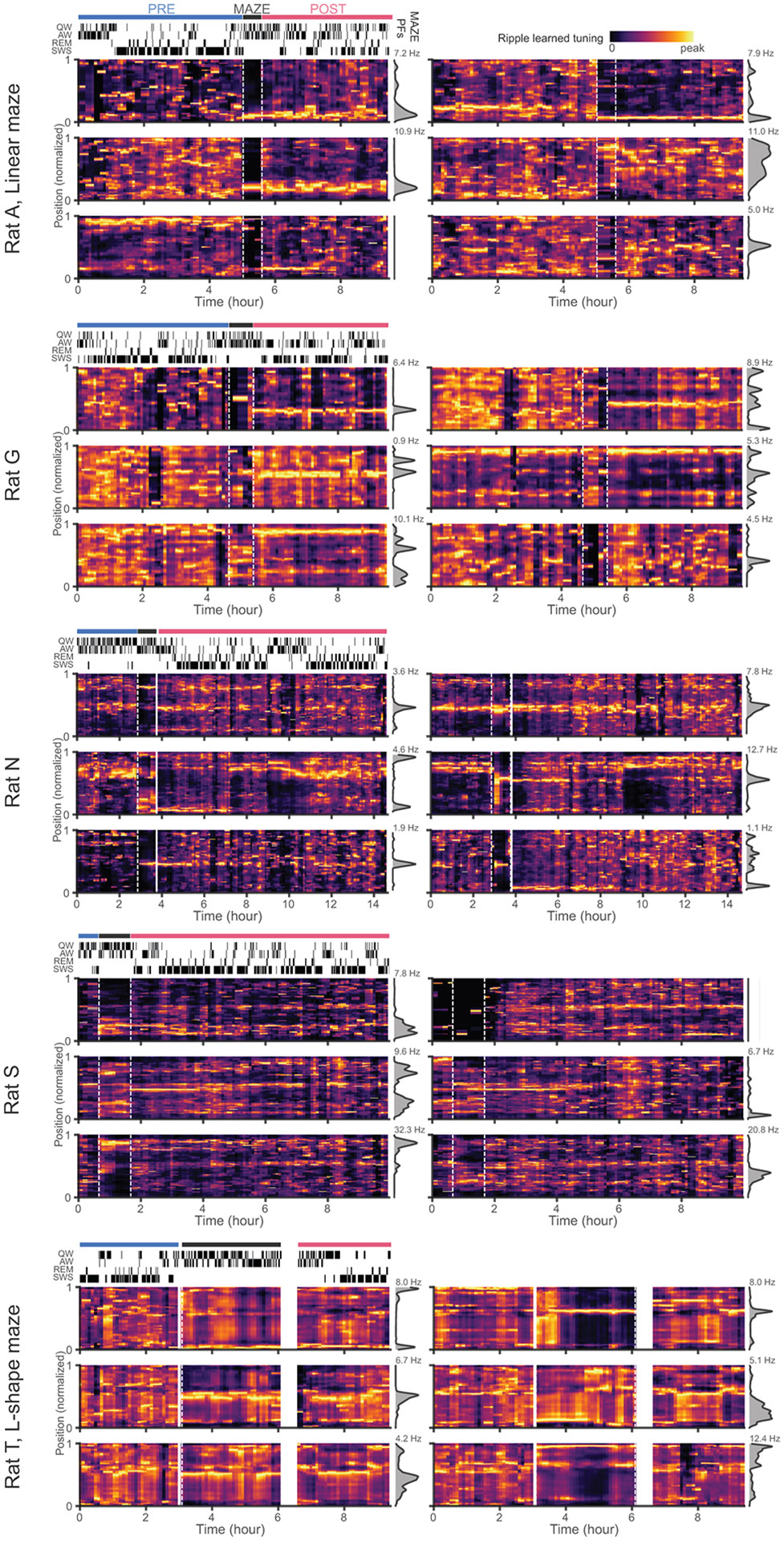 Extended Data Fig. 3.