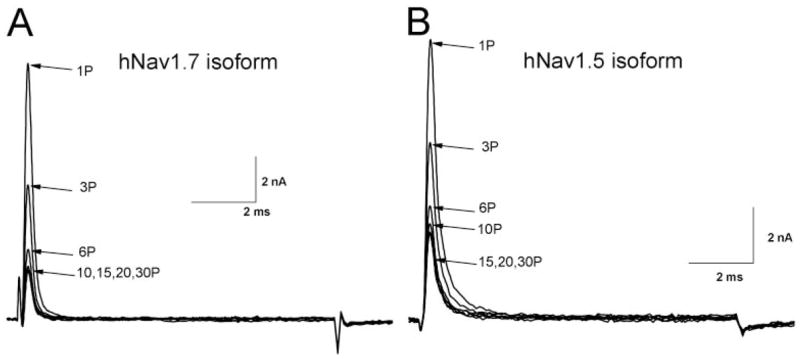 Fig. 5