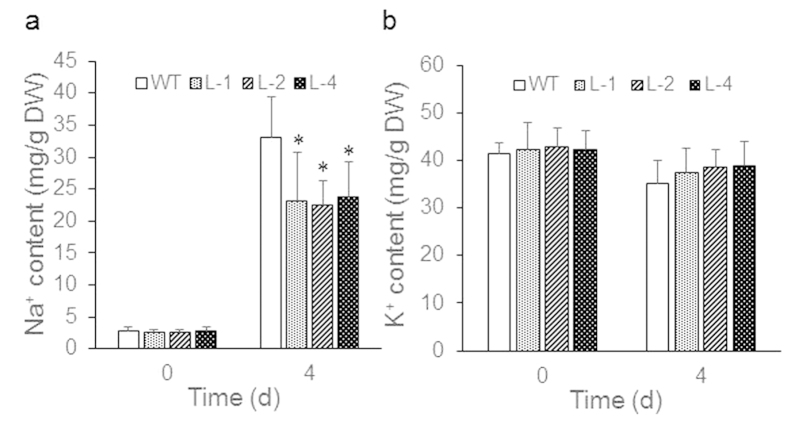 Figure 5