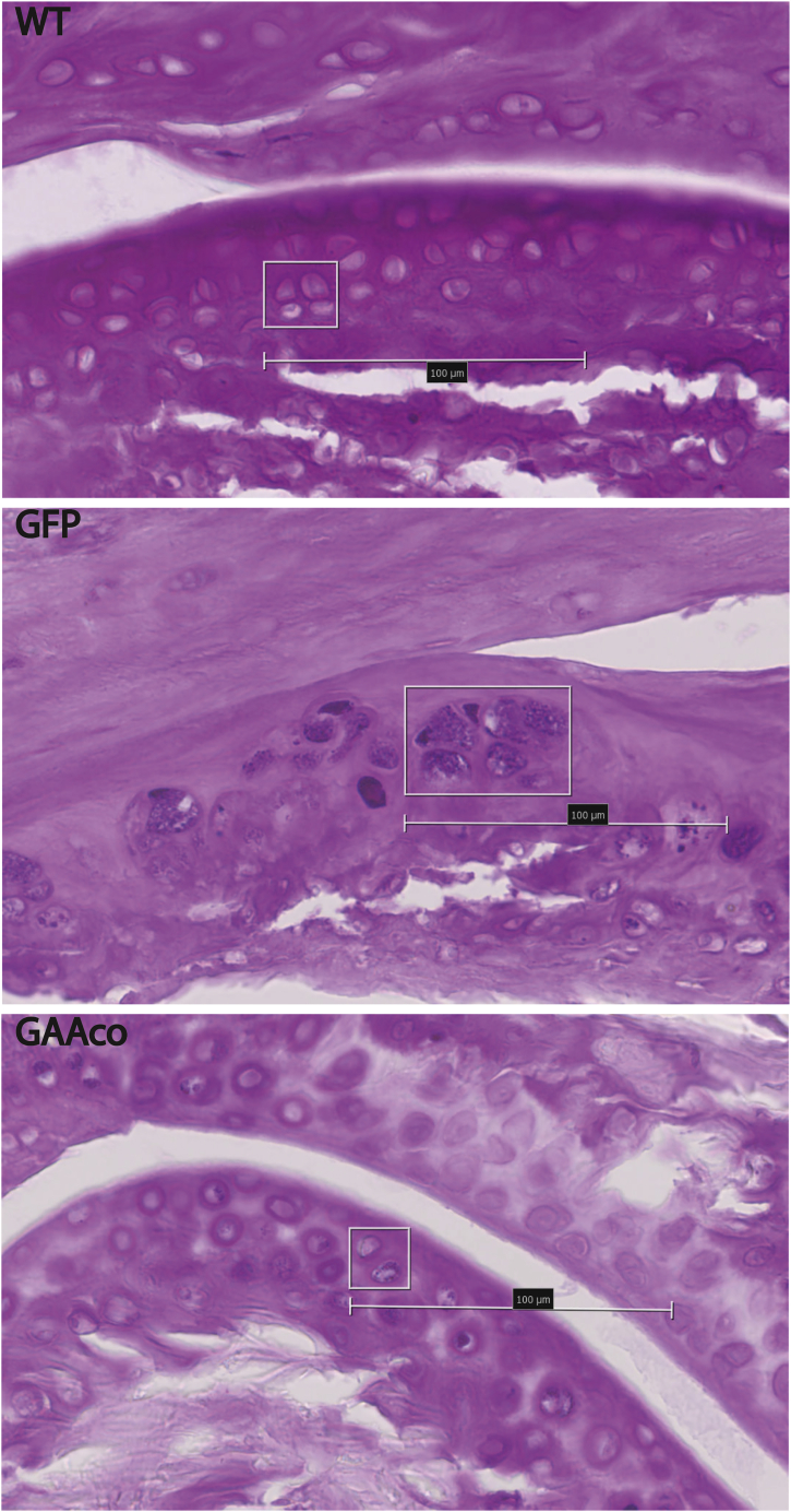 Figure 7