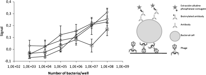 Fig. 4