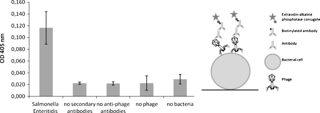 Fig. 2