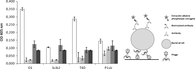 Fig. 1