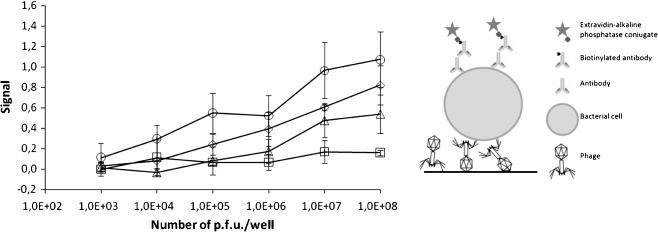 Fig. 3