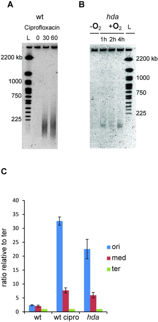 Figure 5.