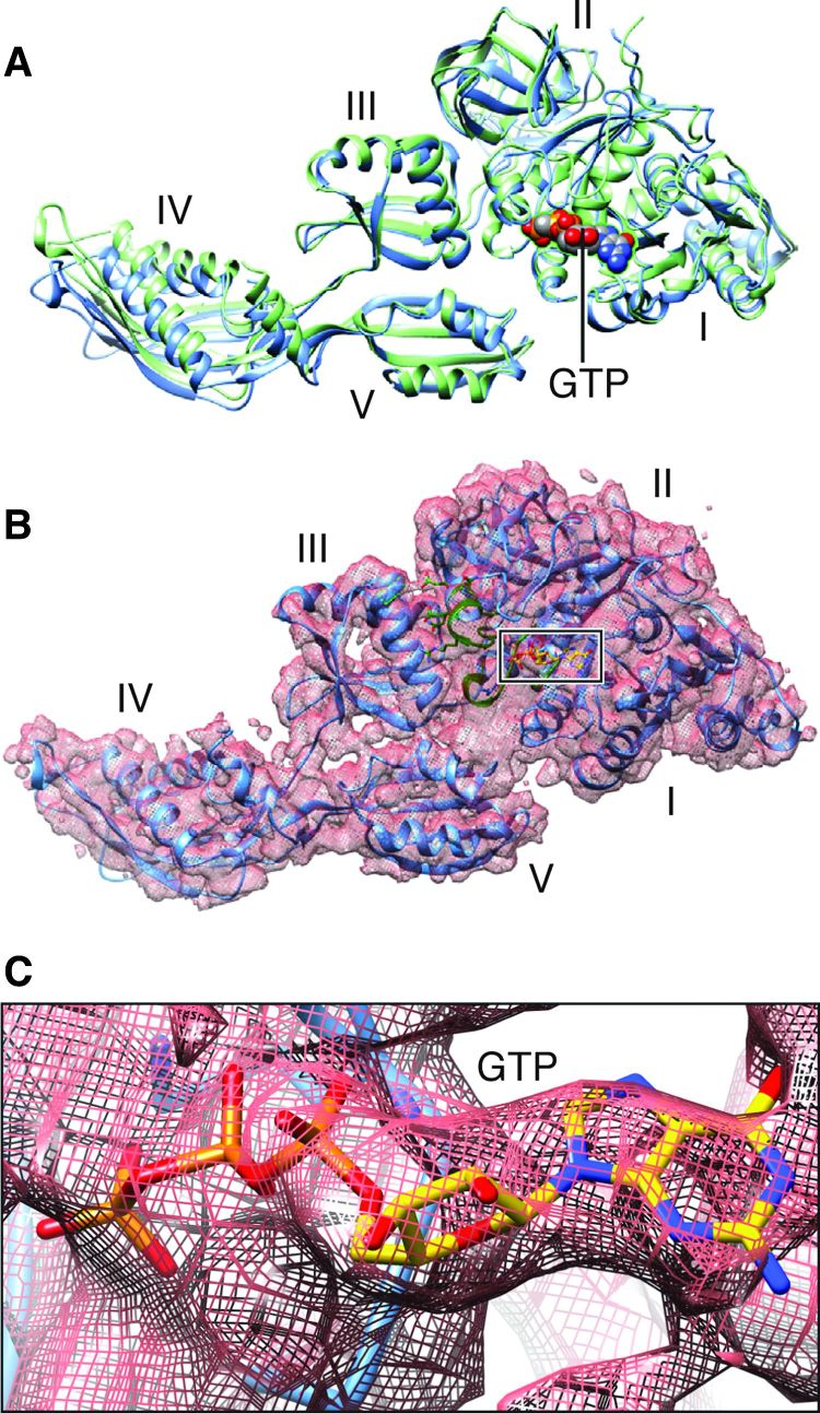 Fig. 5