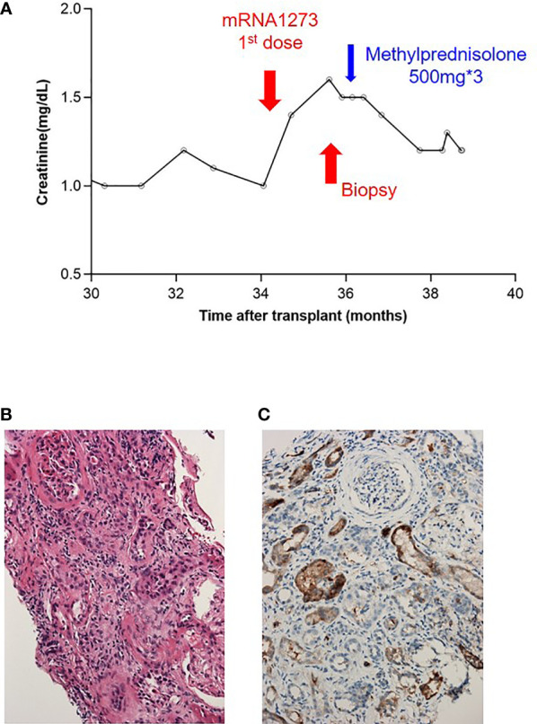 Figure 4