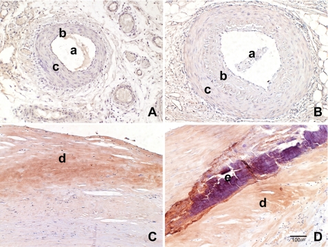 Figure 9.