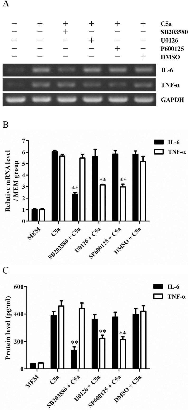 Fig 7