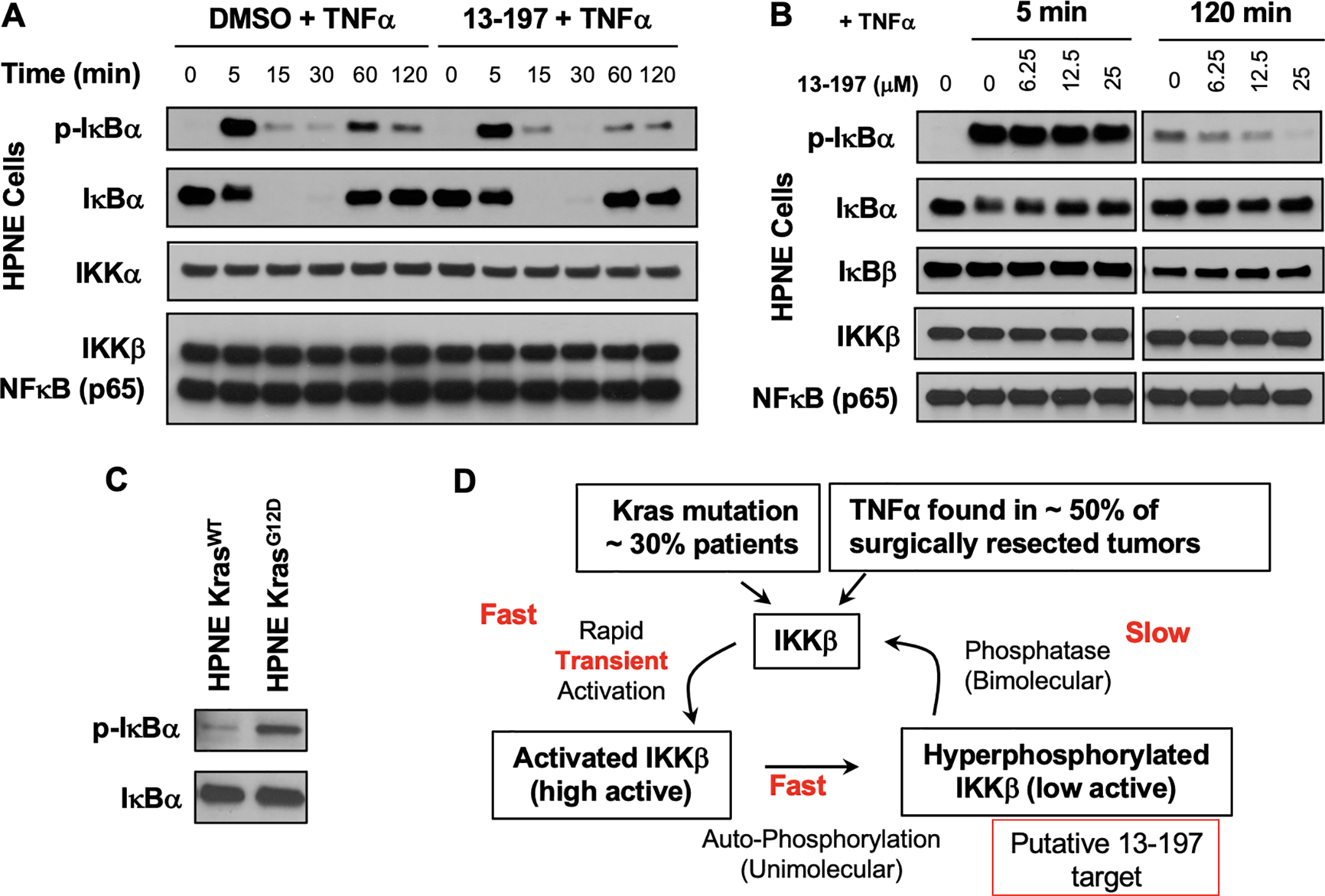 Figure 4: