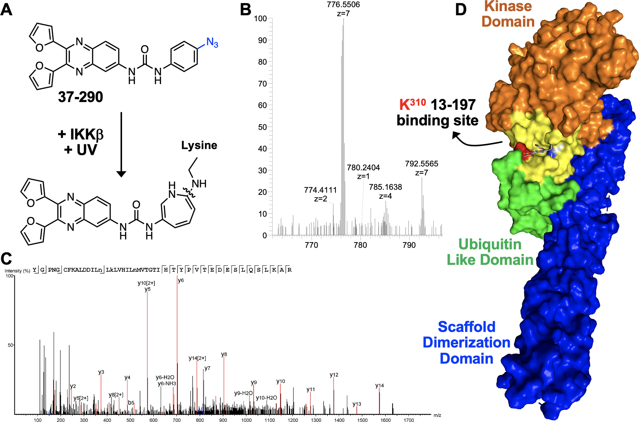 Figure 3: