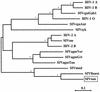FIG. 4