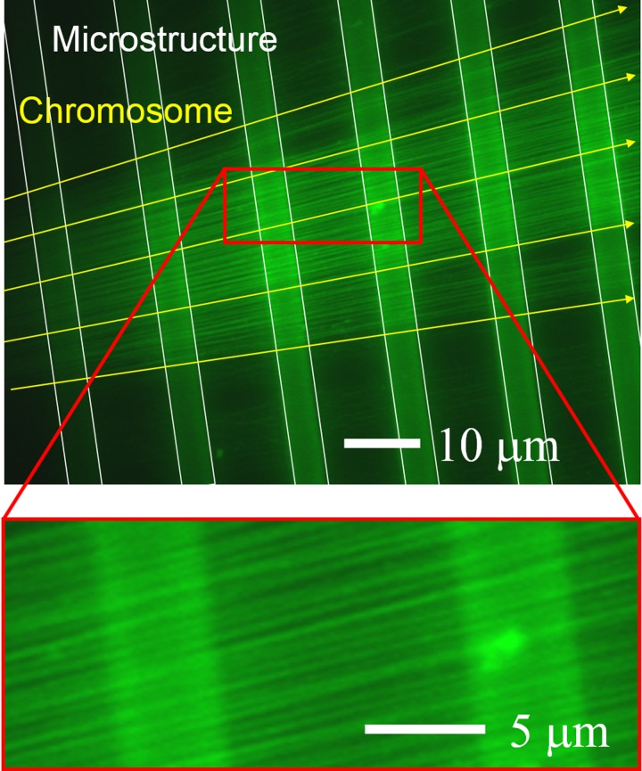 FIG. 10.