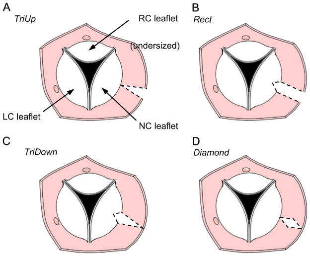 Fig. 3