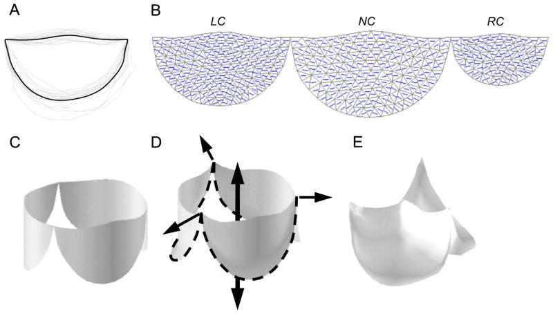 Fig. 2