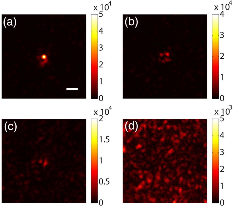 Fig. 3