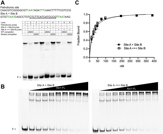 Figure 5