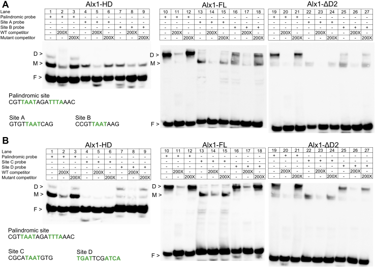 Figure 2