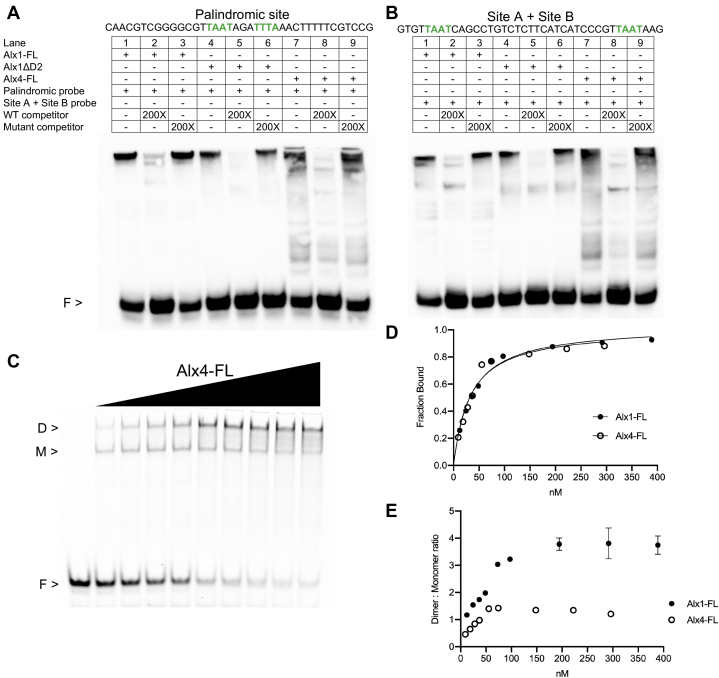 Figure 4